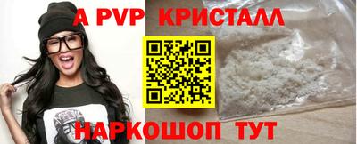 гашик Камышлов