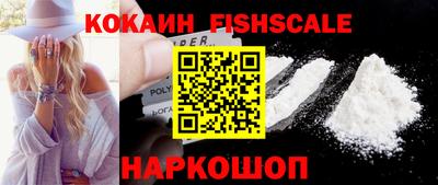 гашик Камышлов