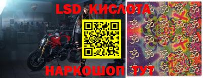 гашик Камышлов