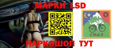 гашик Камышлов