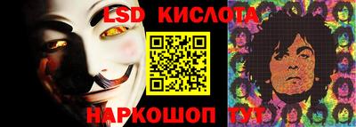 гашик Камышлов