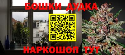 гашик Камышлов