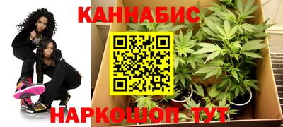 гашик Камышлов