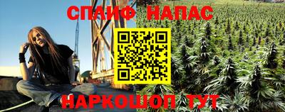 трава Кандалакша