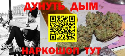 гашик Камышлов
