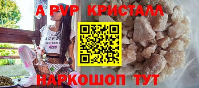 гашик Камышлов