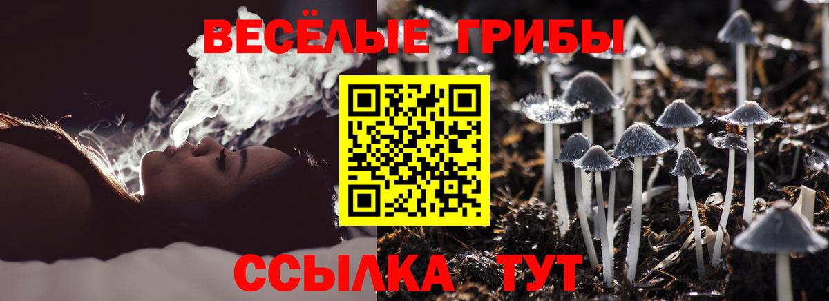 Псилоцибиновые грибы мухоморы Кунгур